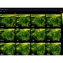 Accuvix V20 Prestige Multi Slice View uh kép